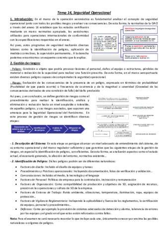 Tema-14-Seguridad-Operacional.pdf
