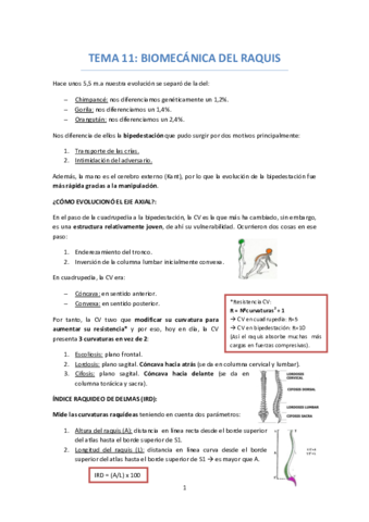 TEMA-11-BIOMECANICA-DEL-RAQUIS.pdf