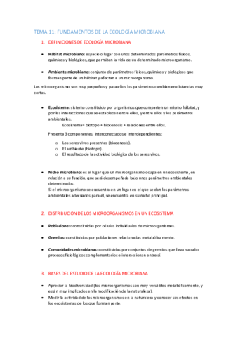 TEMA-11-apuntes.pdf