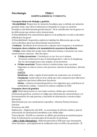Documento-sin-titulo-13.pdf