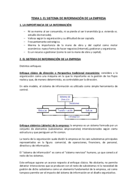 Tema 1 Sistemas de Información.pdf