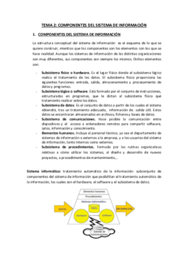 Tema 2 Sistemas de Información.pdf