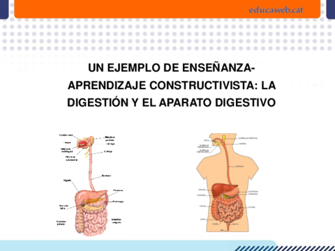 Digestio-i-aparell-digestiu-2-1.pdf