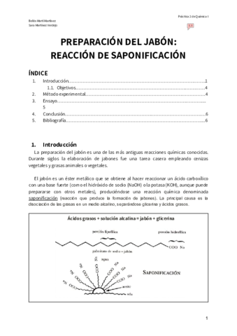 Práctica 2 - SAPONIFICACION JABON