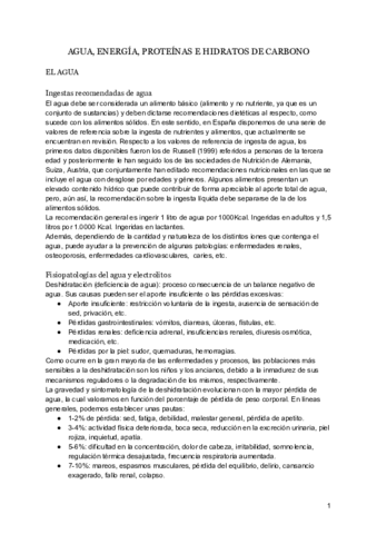 AGUA-ENERGIA-PROTEINAS-E-HIDRATOS-DE-CARBONO-2.pdf