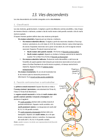 T13.pdf