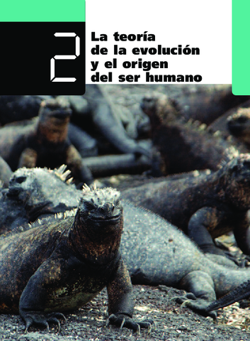 TEORIA DE LA EVOLUCION Y ORIGEN DEL SER HUMANO.pdf
