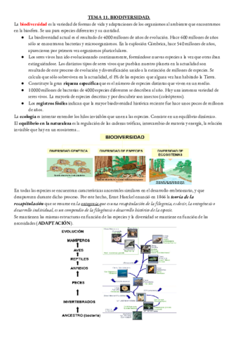 BIOLOGIA-TEMA-11.pdf