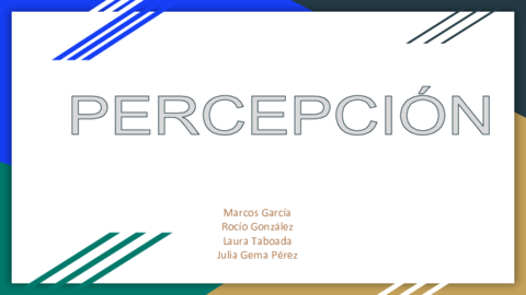 PERCEPCION.pdf