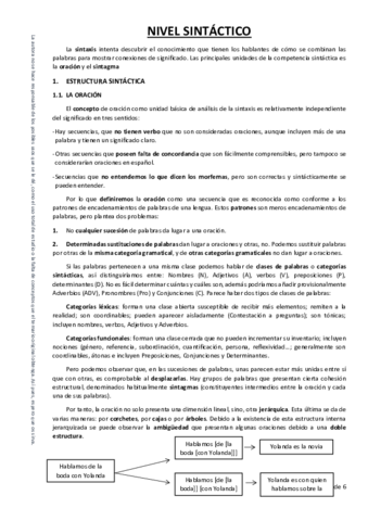 NIVEL SINTÁCTICO.pdf