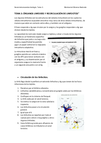 TEMA-3.pdf