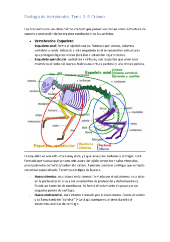 TEMA-2-ZOO.pdf