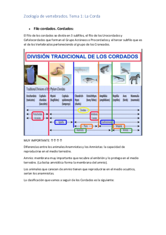 TEMA-1-ZOO.pdf