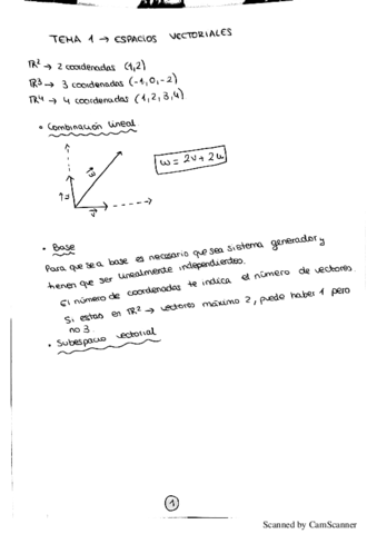 TEMA-1-ESPACIOS-VECTORIALES.pdf