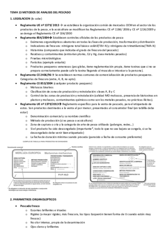 TEMA-13-REGLAMENTACION.pdf