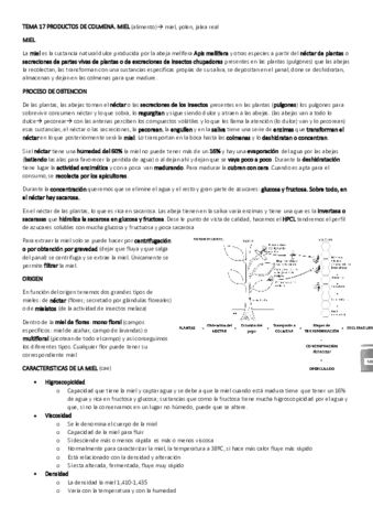 TEMA-17.pdf