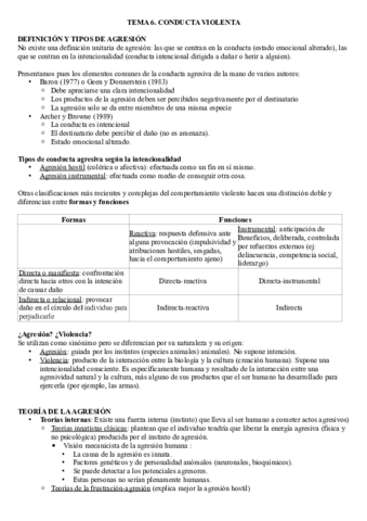 PSICOLOGIA-SOCIAL-TEMA-6.pdf