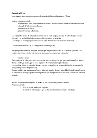 Practica-litica.pdf