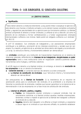 TEMA-3-LOS-SINDICATOS.pdf