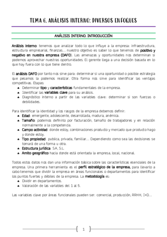 TEMA-6-ANALISIS-INTERNO.pdf