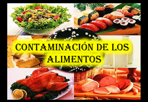 contaminacion-en-los-alimentos-original.pdf