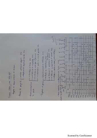 Problema-examen-2016-2017.pdf