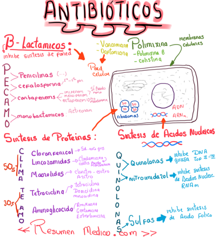 ANTIBIOTICOS - MECANISMO DE ACCION