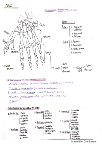 la-mano.pdf