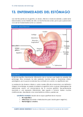 T3. Enfermedades del Estómago.pdf