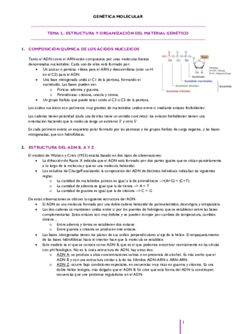 TEMA-2.pdf