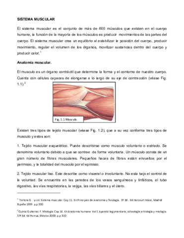 SISTEMA MUSCULAR-FISIOLOGIA.pdf