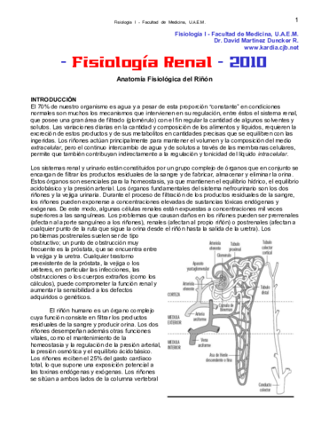 FISIOLOGIA RENAL Y URINARIA.pdf