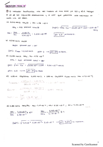 Ejercicios-autoevaluacion-tema-6.pdf