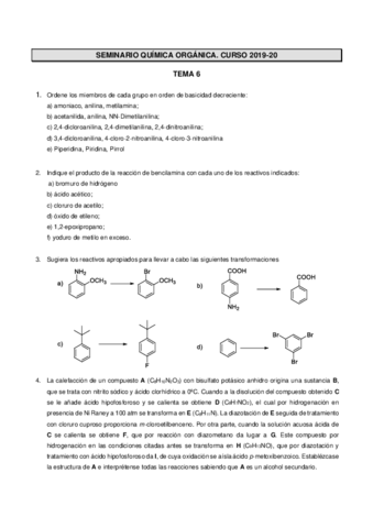 Seminario-Tema-6.pdf