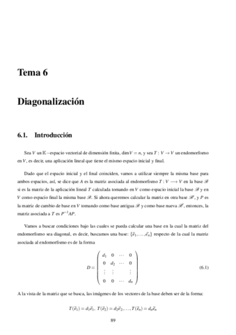 Tema6Diagonalizacion.pdf