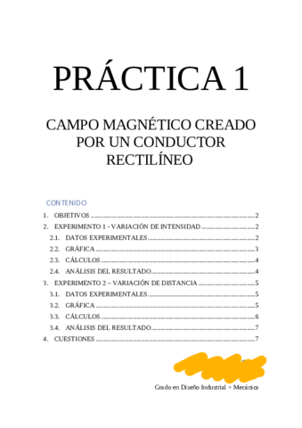 practica-1-Conductor-Rectilineo.pdf