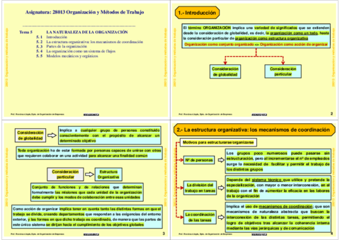 Tema-5-la-naturalezaz-de-la-organizacion-4x4.pdf