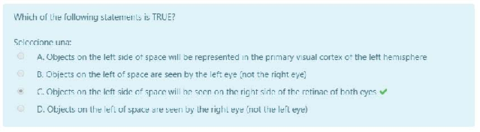 Autoevaluacion-Tema-4.pdf