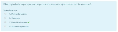 Autoevaluacion-Tema-6.pdf