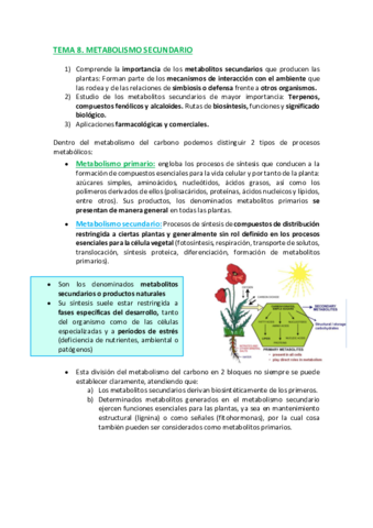TEMA-8-C.pdf