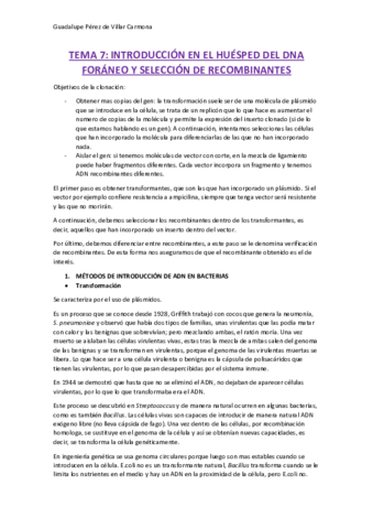 TEMA-7.pdf