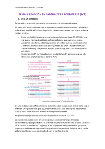 TEMA-9.pdf