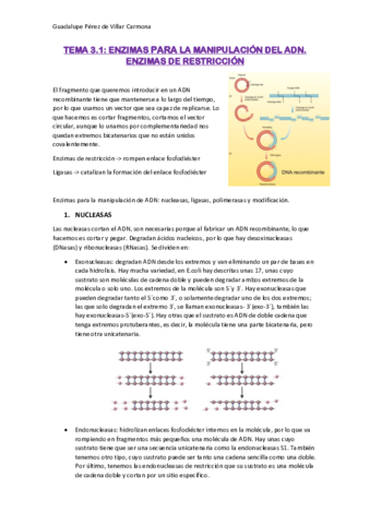 TEMA-3.pdf