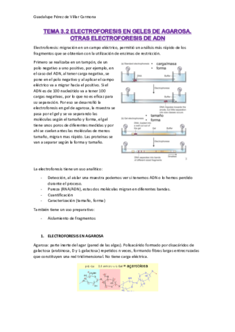 TEMA-3.pdf