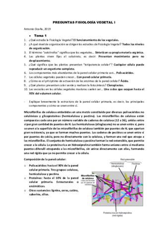 EXAMEN-TEMA-1.pdf