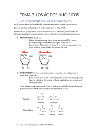 Tema Pdf