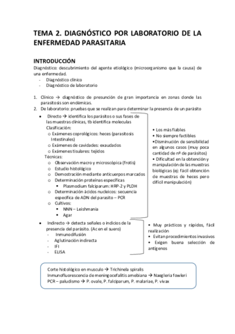 MYP-ST2.pdf