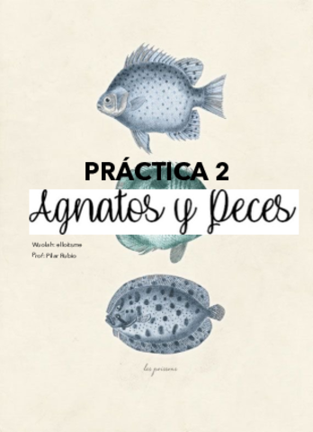Diario-de-Practicas-II-Agnatos-y-Peces.pdf