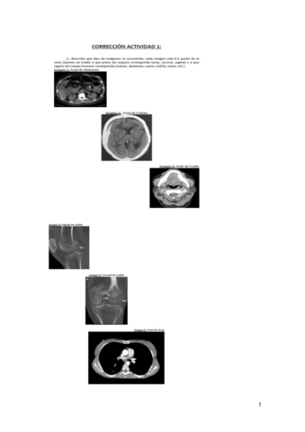 Activitats-juntes.pdf