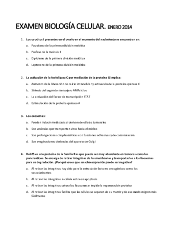 Examen Global 2.pdf
